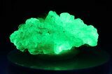 Extremely Fluorescent Botryoidal Hyalite Opal - Nambia #283793-1